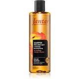 Farmona Jantar Amber Essence šampon s piling učinkom 300 ml | Shoptok.si