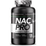 Basic Supplements nac pro - | ePonuda.com