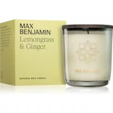 Max Benjamin Lemongrass & Ginger mirisna svijeća 210 g