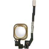 AVIZAR Glavni gumb Home s prikljucnim kablom str. Apple iPhone 5S - bel, (20886155) Cene