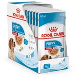 Royal Canin medium puppy 10 x 140 g Cene