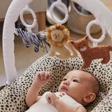 DockATot ® Set aktivnostnih igrački Day at the Zoo | shoptok.hr