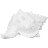 Ixia Kipić od polyresina (visina 12 cm) Seashell – | shoptok.hr
