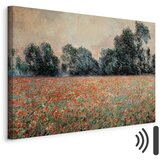  Slika - Claude Monet – Field with wild Poppies 30x20 Akustična | shoptok.hr