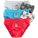 Cool club spodnje hlače slip 5 kosov LUB3210346-00 8105811 PAW PATROL F večbarvno 86/92 Cene