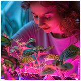  LED sijalica za uzgoj biljaka PLANTY E27/40W/230V 1200K | Eponuda.com