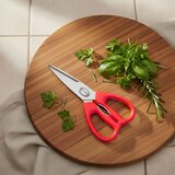 SCANPAN Kuhinjske škarje Spectrum 19cm / rdeče / inox, PP, (5000256470) | Shoptok.si