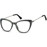 Berkeley Naočare CP121 | ePonuda.com