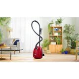 Bosch usisavač serie 4 BGB38RD2 | shoptok.hr