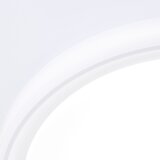 Brilliant LED RGBW prigušiva stropna svetiljka FLOCO LED/34W/230V sa daljinskim upravljačem | Eponuda.com