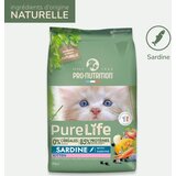 Pro nutrition cat kitten pure life 2kg Cene