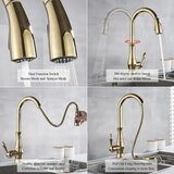 EYN Kuhinjska pipa – Elegantna izvlečna armatura | pipa KZI5517 — Mat črna | Shoptok.si