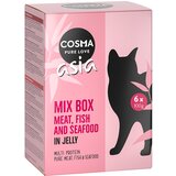 Cosma Varčno pakiranje Asia vrečke 24 x 100 g - Miks 6 sort | Shoptok.si