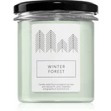 Hagi Winter Forest mirisna svijeća 230 g