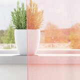 Voile zavjese s petljama 2 kom. ružičaste 140x260 cm | shoptok.hr