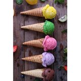 Conceptum Hypnose Tepih staza (80x120) Hmnt587 | Eponuda.com