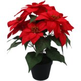 Molarem Home Umjetna crvena Božićna zvijezda u crnoj tegli - 35 cm Slike