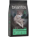 briantos Adult janjetina i krumpir - BEZ ŽITARICA - 2 x 12 kg