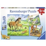 Ravensburger puzzle - Vreme je za maženje - 3x49 delova | ePonuda.com