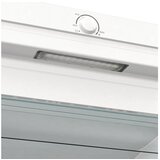 Gorenje zamrzovalna omara FN619FEW5 | Shoptok.si