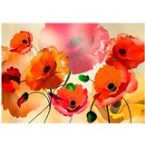 Tapeta - Velvet Poppies 200x140 | shoptok.hr