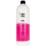 Revlon PROYOU šampon za očuvanje boje 1000 ml Cijene