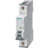 Siemens Dig.Industr. LS stikalo 5SY4104-6, (20889391) Cene