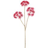 Mömax Umetna Roža Heracleum I -Paz- | Shoptok.si