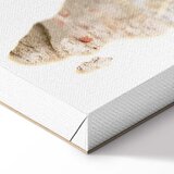  Slika - Hot Continent (1 Part) Vertical 60x90 Akustična | shoptok.hr