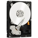 Western Digital WD Black 2TB 3,5" SATA3 64MB 7200rpm (WD2003FZEX) trdi disk | Shoptok.si