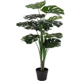 House Nordic Plastični cvijet Monstera - | shoptok.hr
