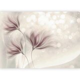 Artgeist Fototapeta Luminous Morning, 350x245cm | Shoptok.si