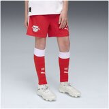 Puma Kratke hlače & Bermuda Rbl pisana | Shoptok.si