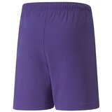 Puma Teamrise Ljubičasta | shoptok.hr