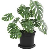  Saksije za biljke 24 pcs Crna Ø 15 x 12 cm Plastika | shoptok.hr