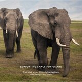 Chantecaille Luminescent Eye Shades biserna senčila za oči Elephant 2.5 g | Shoptok.si