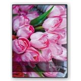 Zep mini foto album motiv lala 10x15cm/40 slika MA4640 Cijene