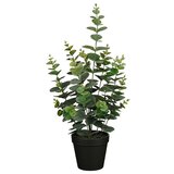  Umetna rastlina Evkaliptus (Višina: 53 cm, Zelena, Plastika) Cene