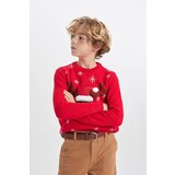 Defacto Boy's New Year Themed Crew Neck Sweater | Eponuda.ba
