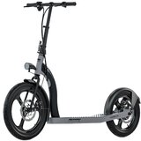 Ms ENERGY e-trotinet r10 crno sivi | ePonuda.com