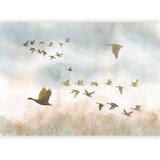  Foto tapeta - Golden Geese 400x280 Vodootporna | shoptok.hr