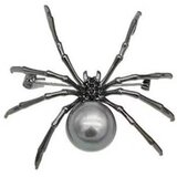 INF Igla za broško pajek Black, (21277949) | Shoptok.si