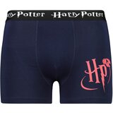 Frogies Men's boxer Harry Potter - Cijene