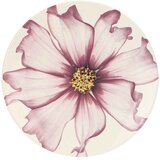 Rose & Tulipani Rose&Tulipani Cosmea 18 delni set krožnikov | Shoptok.si