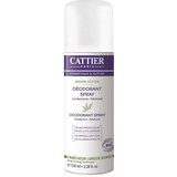 CATTIER Paris Dezodorant v spreju Cene
