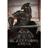 Steam Blackthorn Arena Key GLOBAL | ePonuda.com