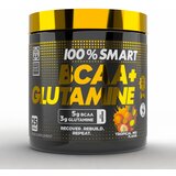 100% SMART BCAA+GLUTAMINE 250G - Tropical Mix | shoptok.hr