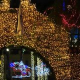  Led Mreža Tamnozelena | Eponuda.com
