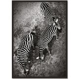Dekordom slika sa ramom 27x37cm zebra Cene