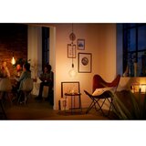 Philips lED vintage sijalica, E27, 5W, 300lm, 2000K | Eponuda.com